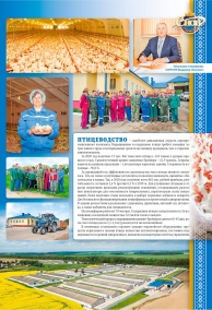 Буклет 11