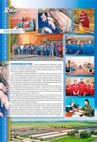 Буклет 10