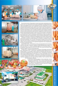 Буклет 13